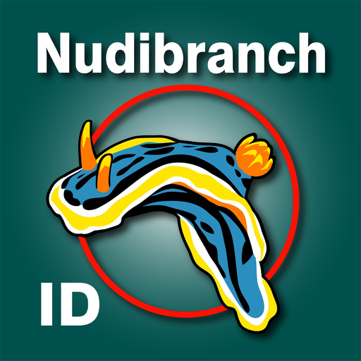 Nudibranch ID Western Atlantic app icon