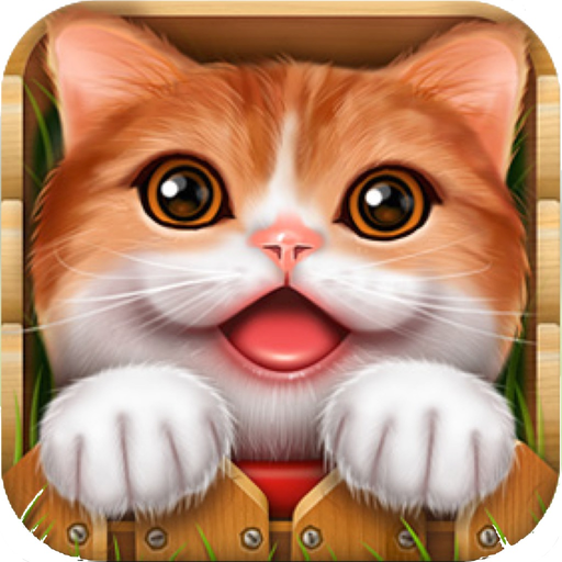 English Baby With Photos (Learning & Practice) app icon