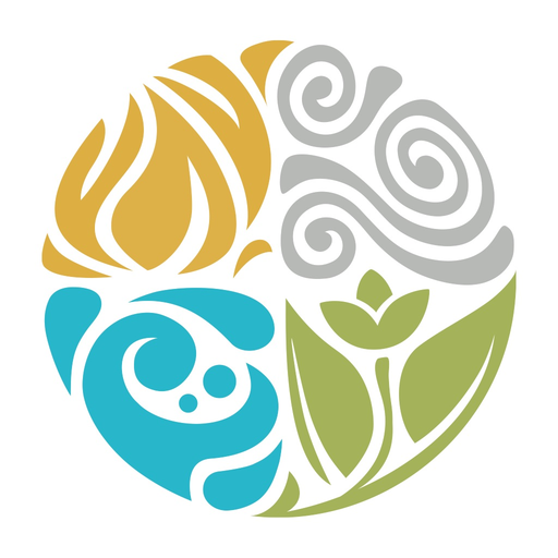 Skin Elements app icon
