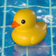 Placid Plastic Duck Simulator icon