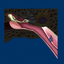 Middle Ear ID icon