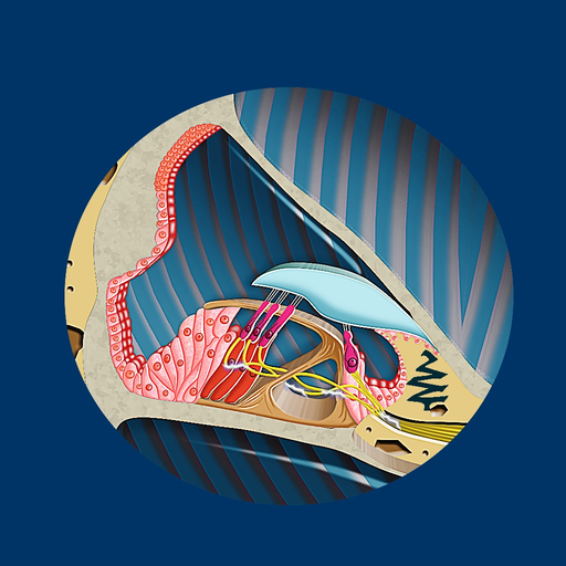 Inner Ear ID app icon