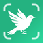 Bird Identifier: BirdScope icon