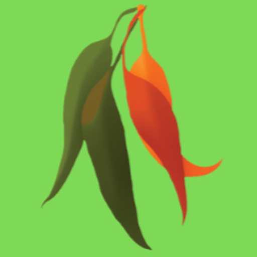 Macquarie Dictionary app icon