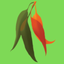 Macquarie Dictionary icon