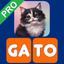 Sílabas y palabras Pro icon