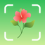 Plant Identifier & Plant Care. icon