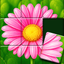 Jigsort®: Solitaire icon