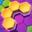 Hex Match: Block Puzzle icon