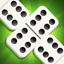 Daily Dominoes - Domino Game icon