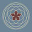 Venus Tracker icon