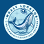 Whale Locator icon