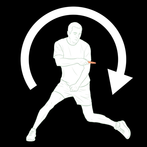 DGFormReplay app icon