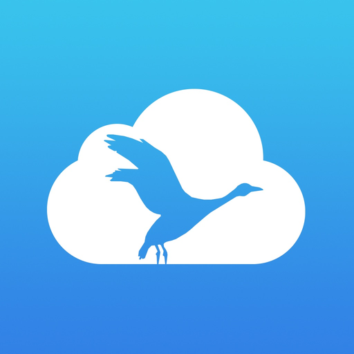 Goose - Ordini Vendita app icon