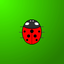 Touch the Ladybug icon