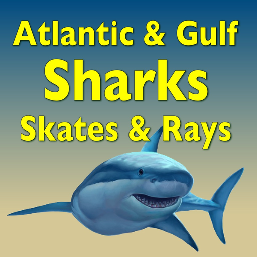 Sharks and Rays app icon