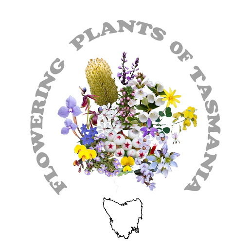 Flowering Plants of Tasmania app icon