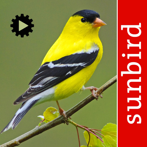 Bird Song Id USA songs & calls app icon