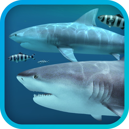 Sharks 3D app icon