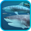 Sharks 3D icon