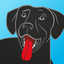 BringFido icon