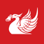 Liverpool Echo icon