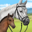Howrse icon
