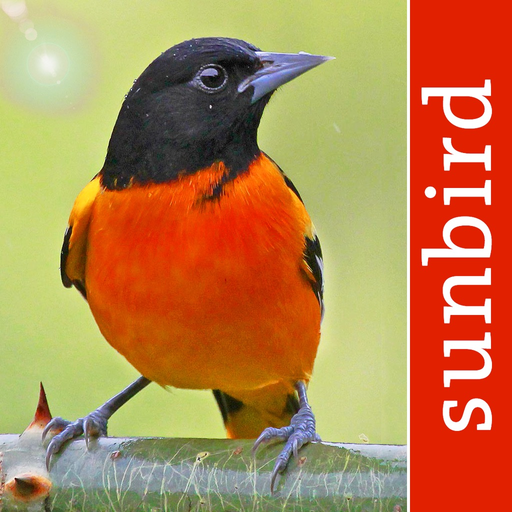 Bird Id USA - backyard birds app icon