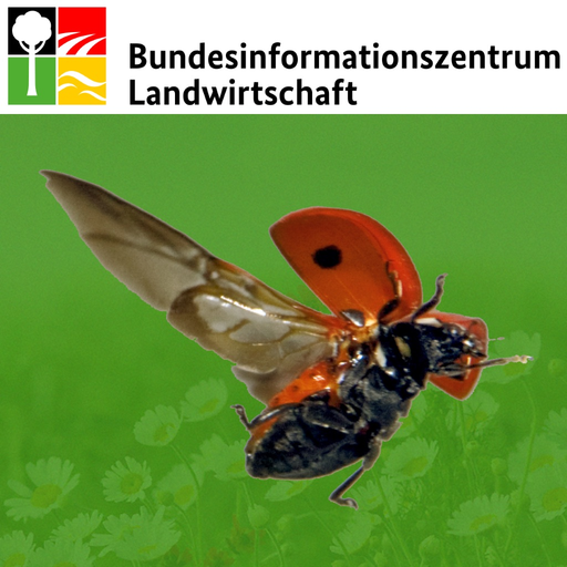 Nützlinge im Garten app icon