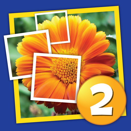 Mosaic 2: More Pics! app icon