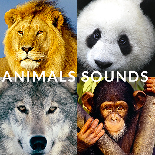 Animals Songs - Speaking with your animal, fun app for adults and kids app icon