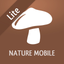 Mushrooms LITE - Field Guide icon