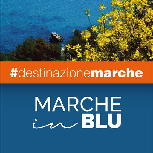 Marche in Blu app icon