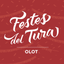 FestesDelTura icon