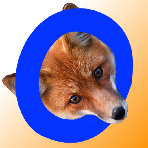 Map-n-Compass app icon