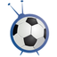Spor Ekranı icon
