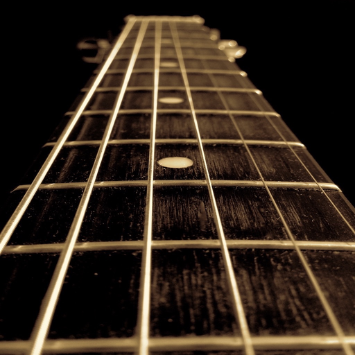 Standard Guitar Tuner app icon