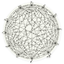 ScalaVista icon