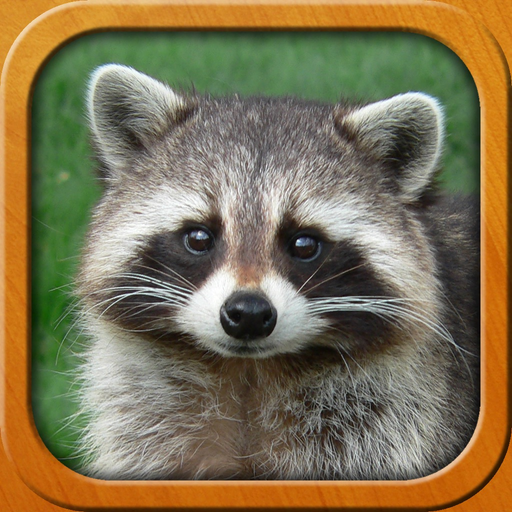 Animals for Kids, full game app icon