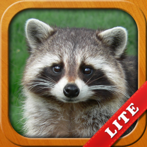 Animals for Kids, toddler game app icon