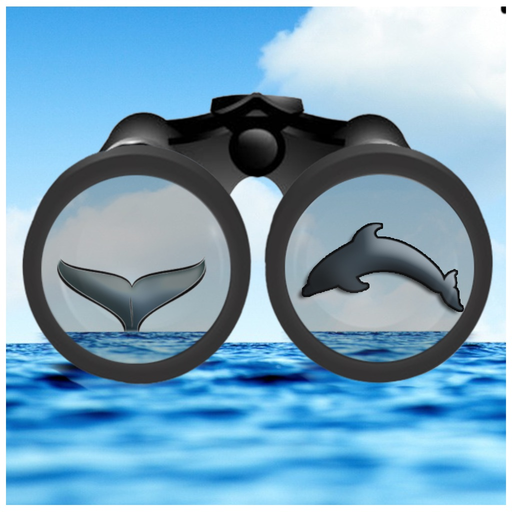 See & ID Dolphins & Whales app icon