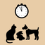 PetPregnancy icon