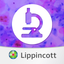 Rubin's Pathology: USMLE Q&A icon