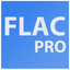 Flac to Any Pro icon