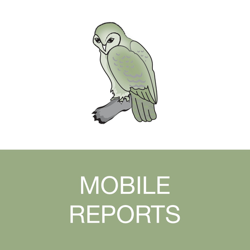 Kluge Report app icon