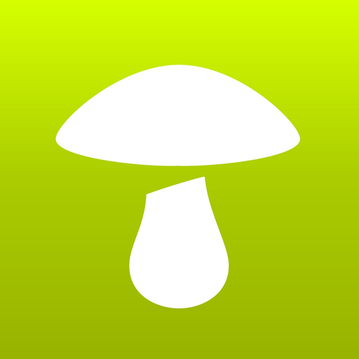Déclic champi app icon