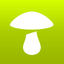 Déclic champi icon