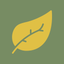 Edible and Poisonous Plants icon