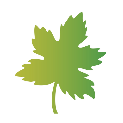 California Community CU app icon