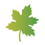 California Community CU icon